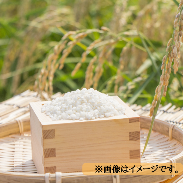 日本の銘柄米　食べ比べセット 商品画像(1)
